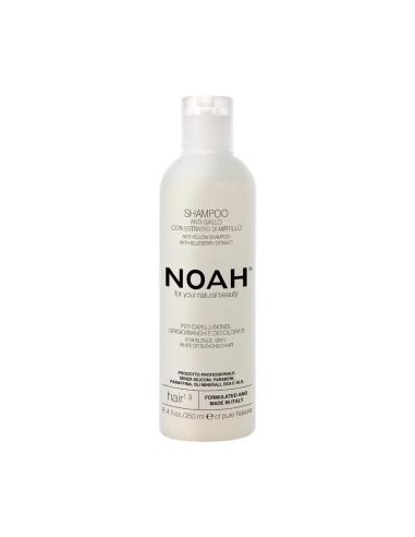 NOAH CHAMPU ANTIAMARILLO con ext arandano azul 250ml