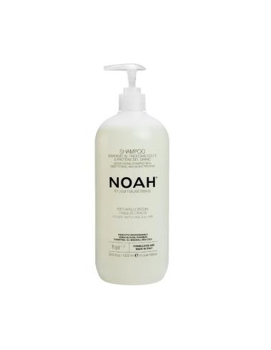 NOAH CHAMPU HIDRATANTE con hinojo dulce 1000ml