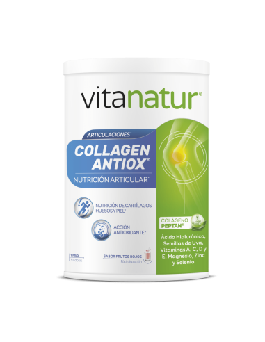 Vitanatur COLLAGEN ANTIOX 360 grs